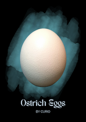 Ostrich Eggs