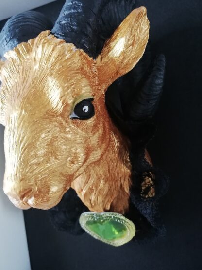 Green Hart Ram - Afbeelding 3