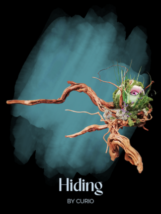 Hiding
