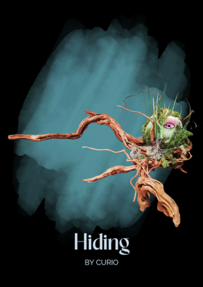 Hiding
