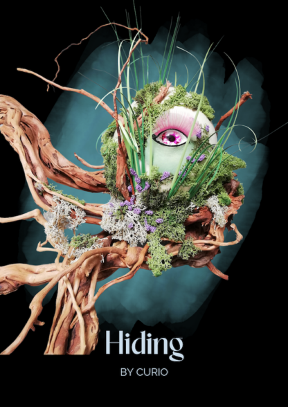 Hiding - Afbeelding 2