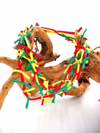 Rasta