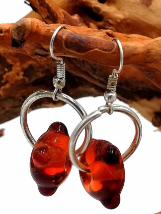 Glass Earrings 056