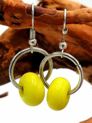 Glass Earrings 064