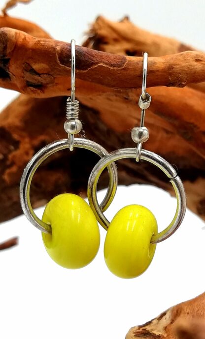 Glass Earrings 064