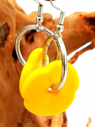 Glass Earrings 070