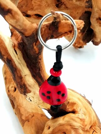 Ladybug 1