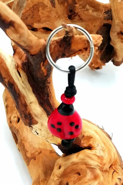 Ladybug 1