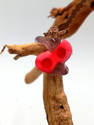 Small Red Purple