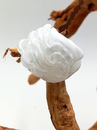 White Transparant