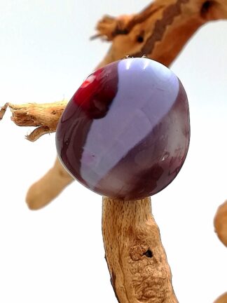 Shades of Purple