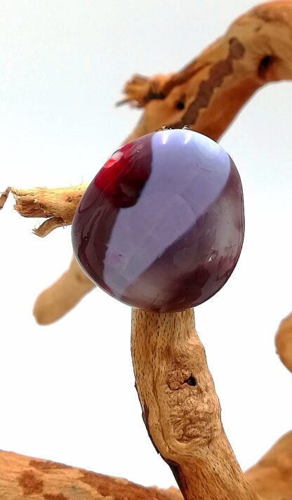 Shades of Purple