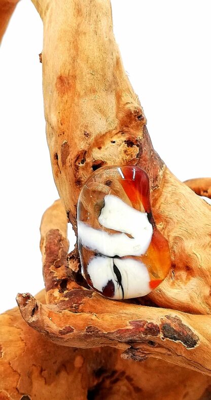 Transparent Amber Ivory