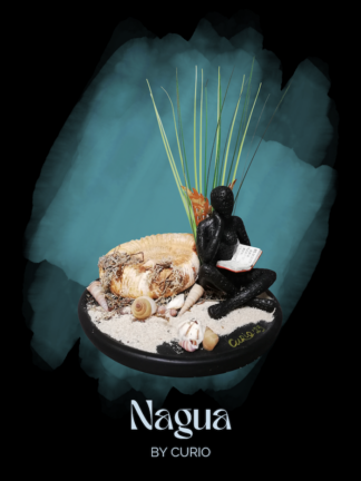 Nagua